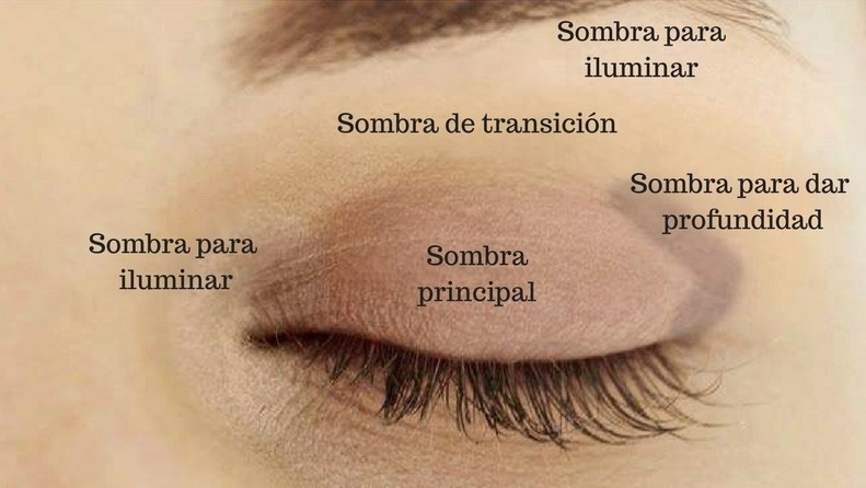 Cómo aplicar sombra de ojos
